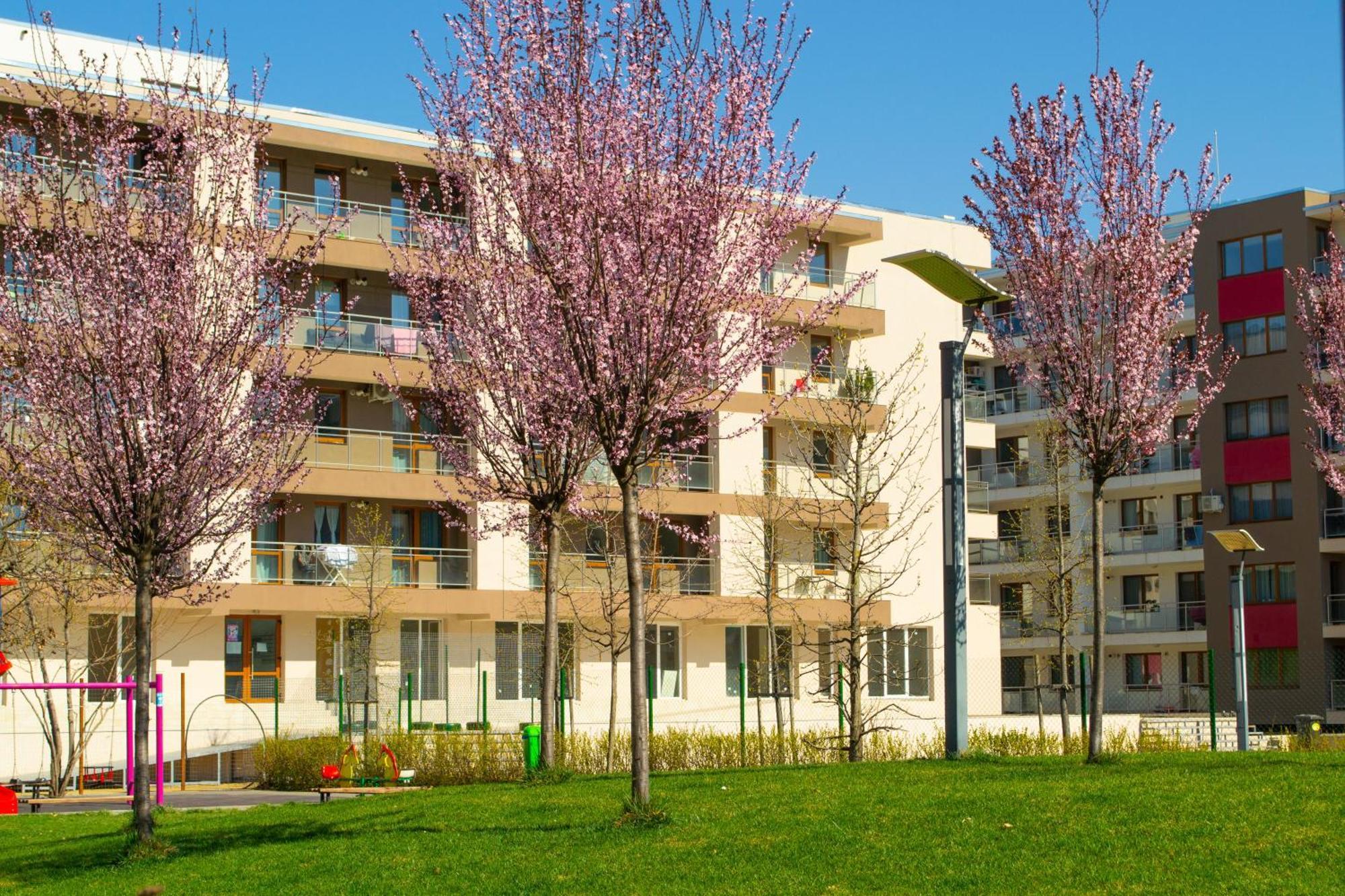 Apartment Solar D3, Private Parking, One Bedroom 布加勒斯特 外观 照片